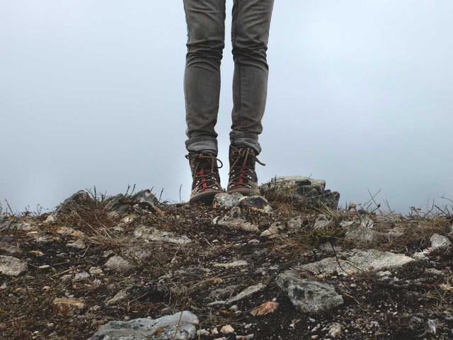 ivy98_wa6s