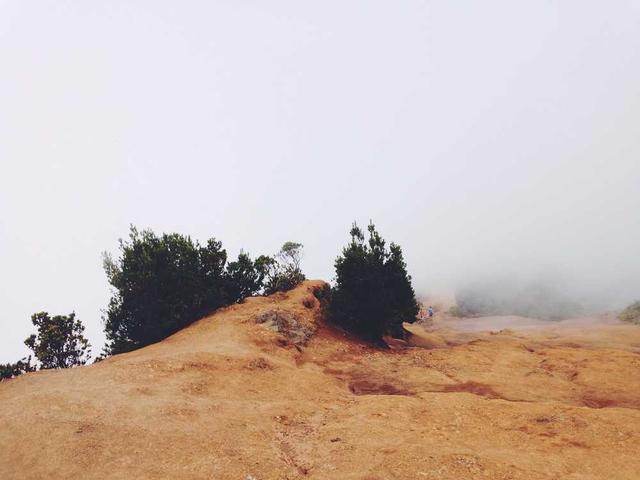 agreenholt_p3Gd