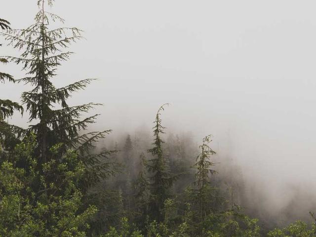 heller_adrien_GVd4