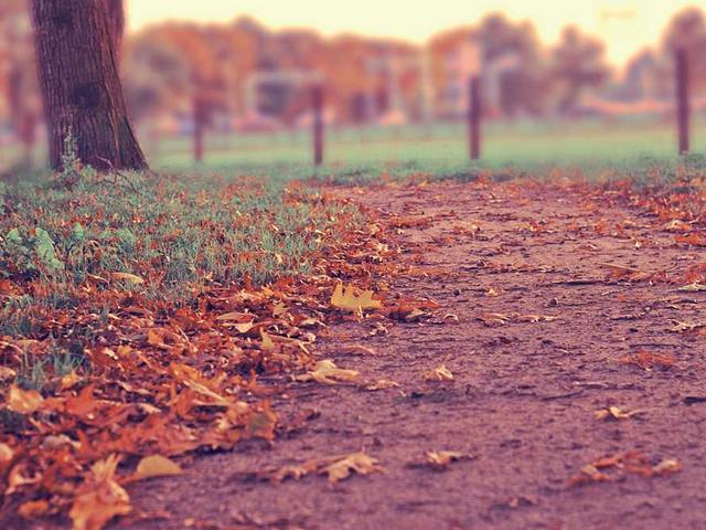 تمام السالم