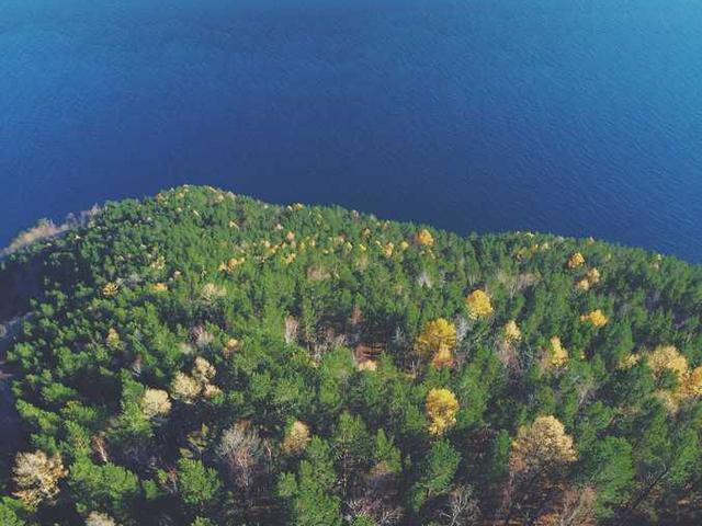 felicity_bartoletti_fAWf