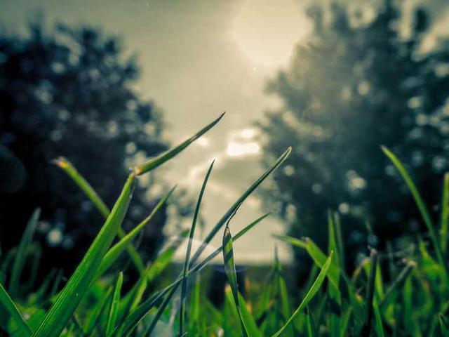 schmitt_felicita_nbUv