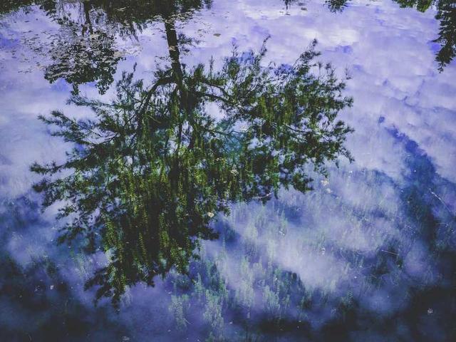 mohamed_padberg_tRYu