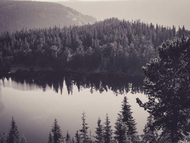 ray19_rYlw
