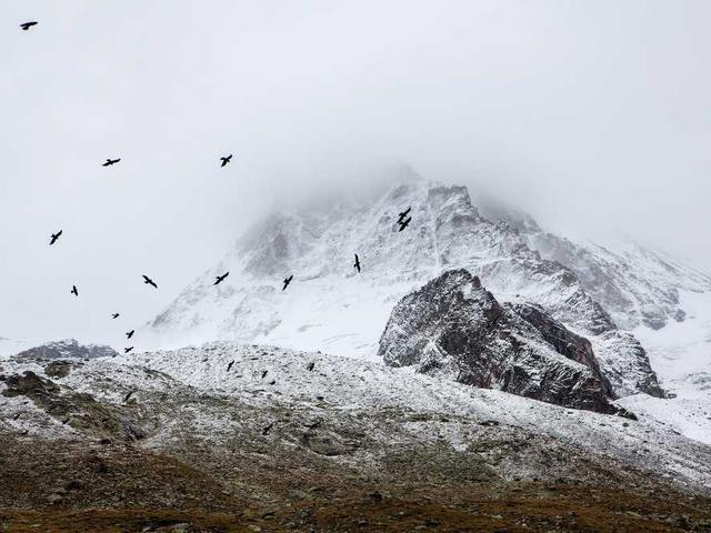 marcellus_okuneva_mbto