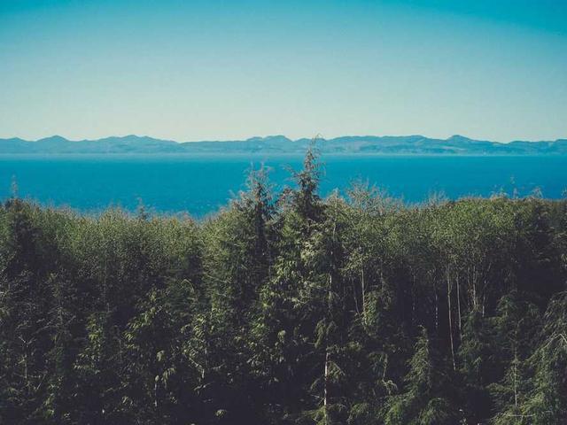 laurianne_bartoletti_wYnk