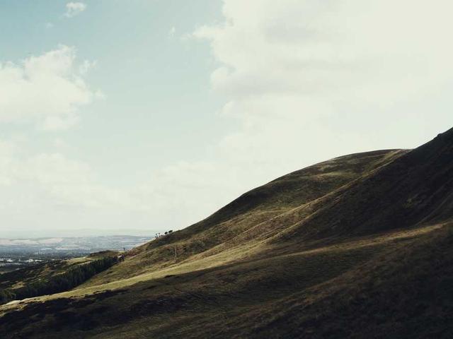 florida_pacocha_yeTM