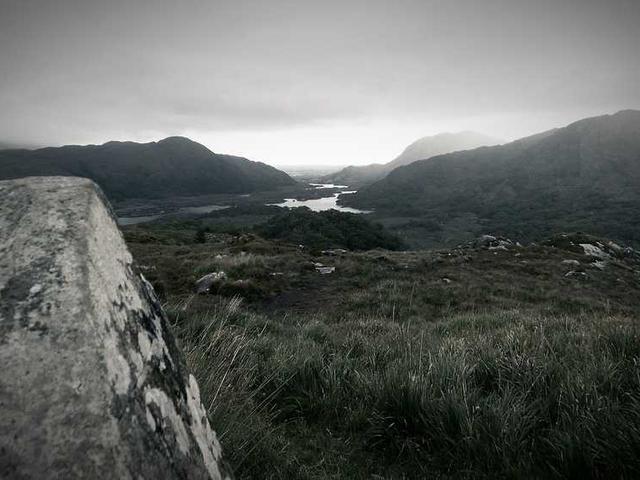 faustino_gulgowski_BELW