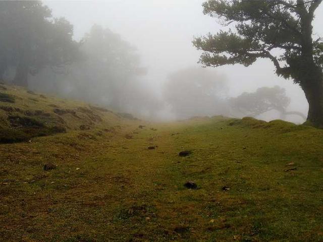 thodkiewicz_mSd4