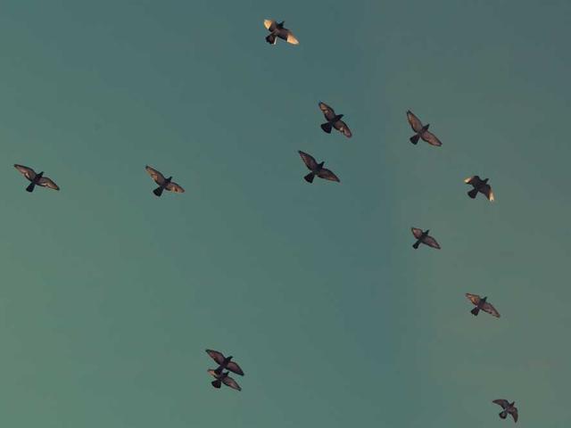 cloyd21_9aoQ