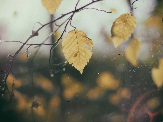 رزان السويلم