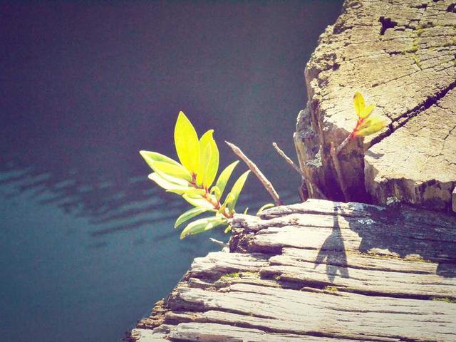 lamy_christophe_r6nF