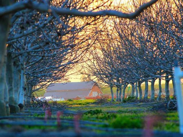 camylle_kuvalis_z9d9