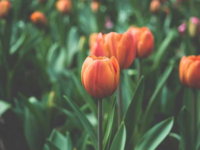 madeleine_dijoux_VBp7