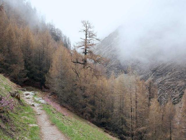 baumbach_valerie_YDrp