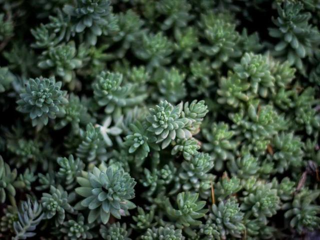 kiehn_alexandro_JqeE