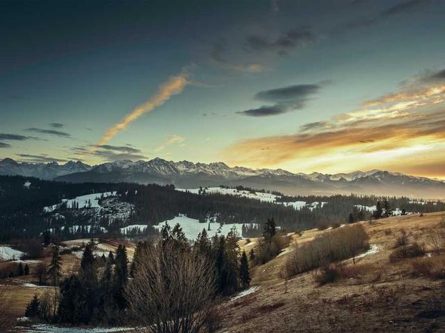 misty_schamberger_wa4J