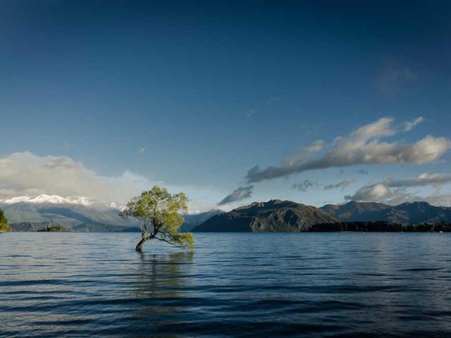 dach_margarette_wrjY