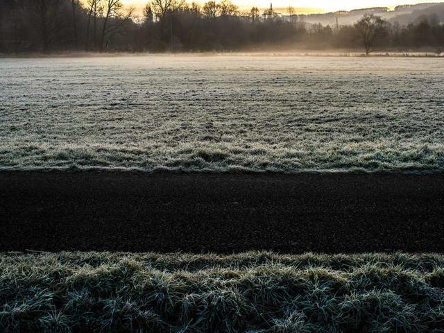 eugenia_prosacco_XU0P