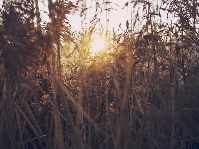 wendell_kautzer_B38L