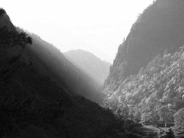 romaguera_jerad_a20o