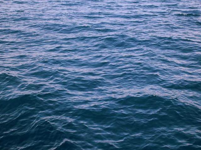 constance_toussaint_RVhs