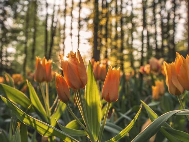 connelly_antwan_kz2r