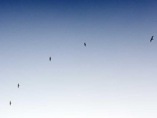 nicolas_rolland_8J1T