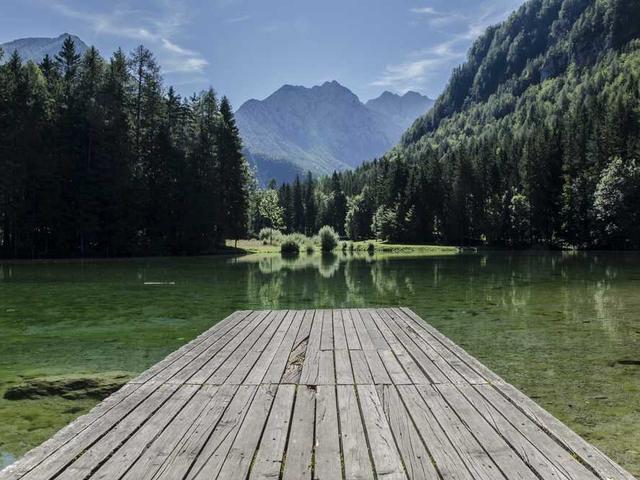 سلام المشيقح