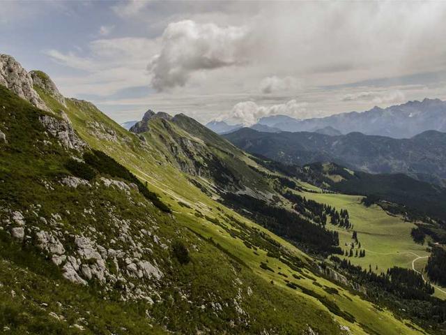 gleichner_brown_WTtT