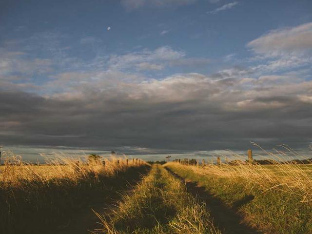 pineau_mathilde_cK9A