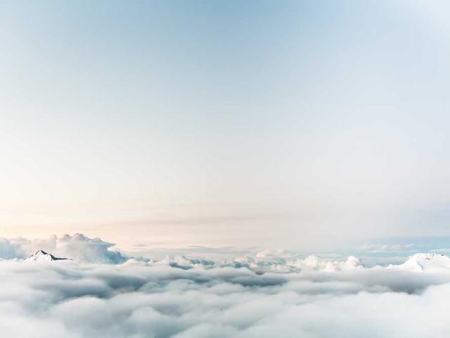 tremblay_aniya_81Xe
