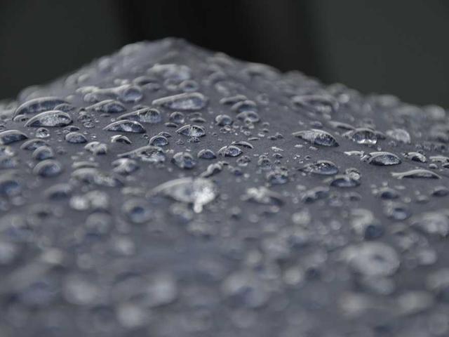 charlotte_payet_zIIE