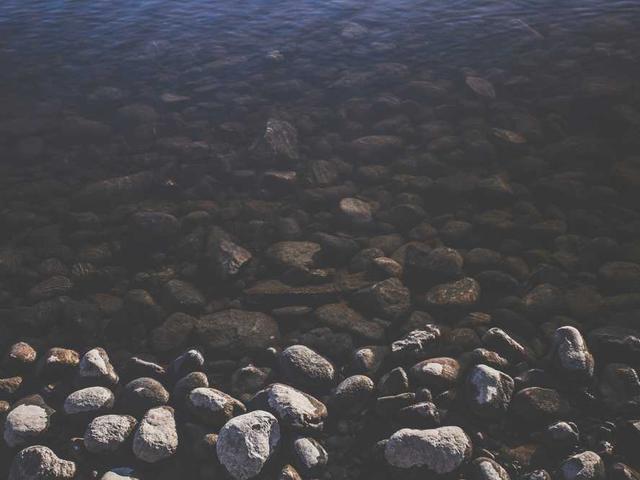 wlehner_w79X