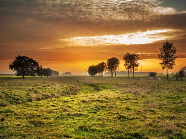 nicholaus_purdy_6rK5