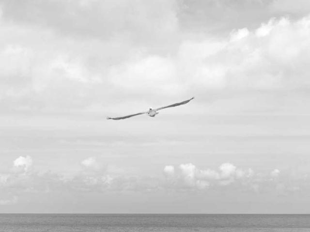 marquardt_leonardo_L32h