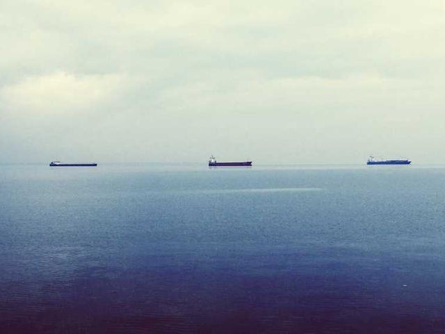 gaetano_gaylord_yqo4