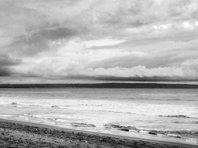 prohaska_adolph_Ipp2