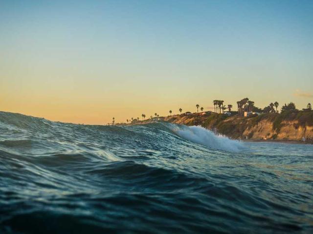 aufderhar_mittie_uKrA