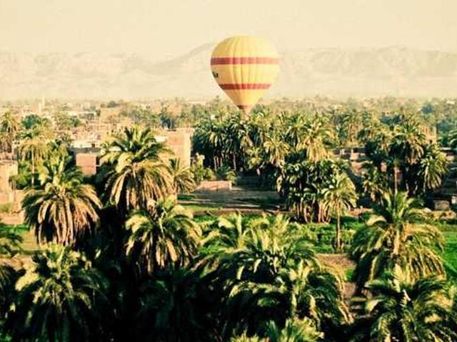 xzavier_wintheiser_zbpT