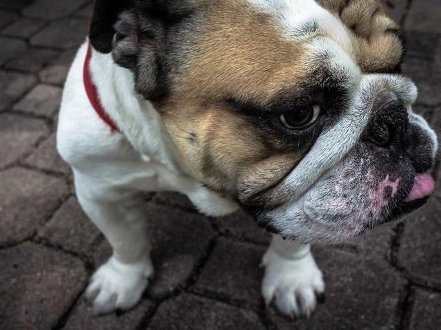 parker_gisselle_G1w6