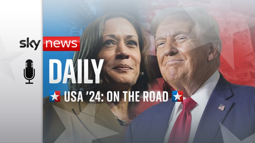 USA '24: How Trump and Harris are using the final days