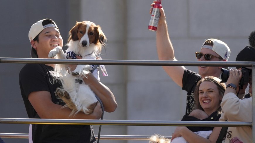 Meet Decoy Ohtani, perhaps the most valuable pet of the World Series