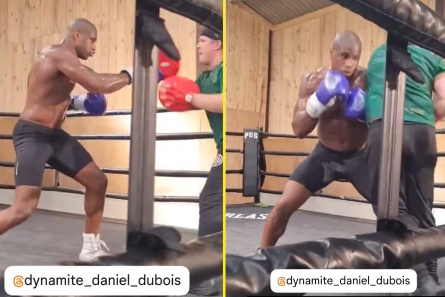 Daniel Dubois wows fans with thunderous power punches that ‘sound like bombs’ as he returns to the gym