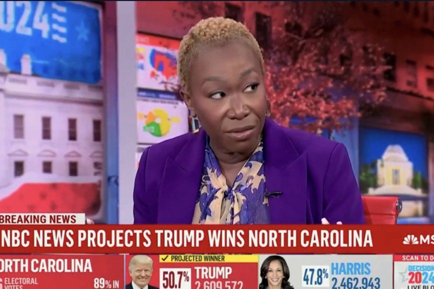 MSNBC’s Joy Reid Says ‘White Women Voters Did Not’ Come Through for Kamala Harris: This Was Their ‘Second Opportunity’ to Change How ‘They Interact With the Patriarchy’