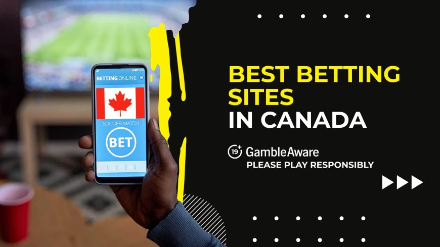 Best sports betting sites in Canada (2024)