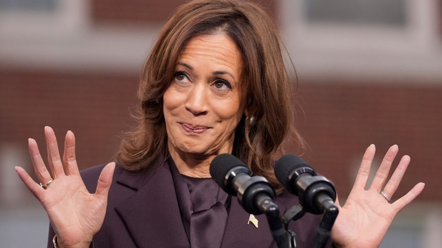 The Democratic Party blame game has already begun after Kamala Harris's loss