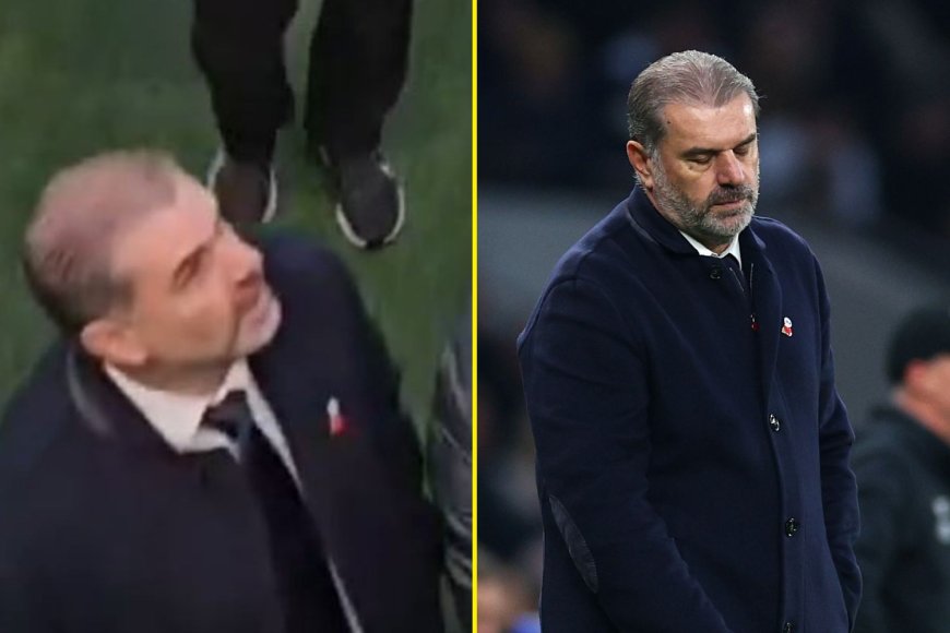 Ange Postecoglou appears to stare down fan as Tottenham booed off after Ipswich defeat