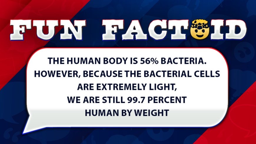 Fun Facts: The human body is 56% bacteria