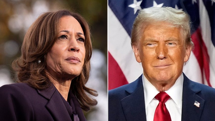 Media liberals savage Kamala as Trump picks experienced hard-liners